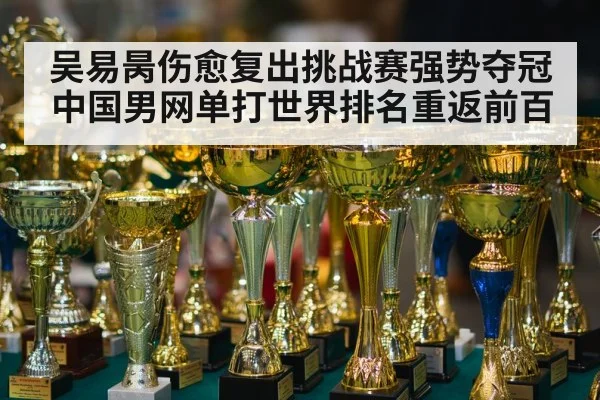 吴易昺伤愈复出挑战赛强势夺冠 中国男网单打世界排名重返前百