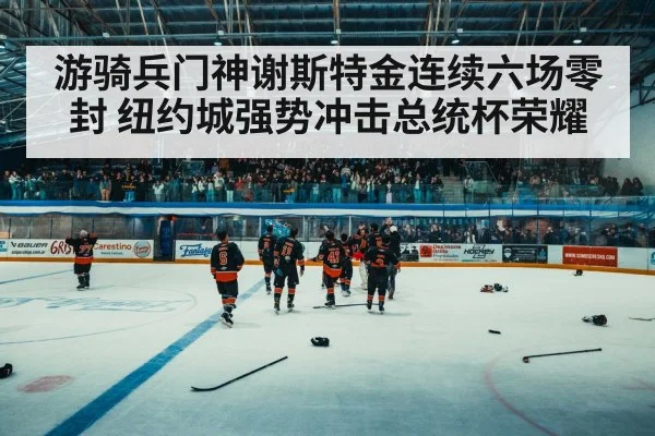 ice hockey arena crowd